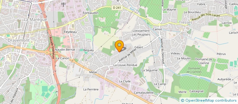 localisation de l'entreprise MONSIEUR THOMAS CASTEX  TRESSES