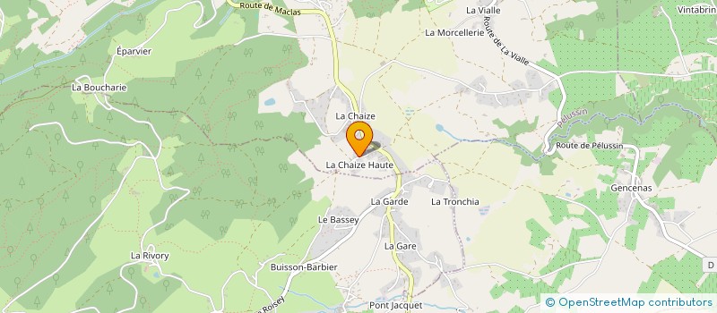 localisation de l'entreprise MONSIEUR THOMAS CELLE  PELUSSIN