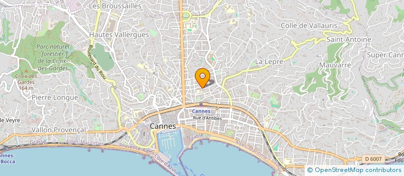 localisation de l'entreprise MONSIEUR THOMAS CHENESSEAU  CANNES