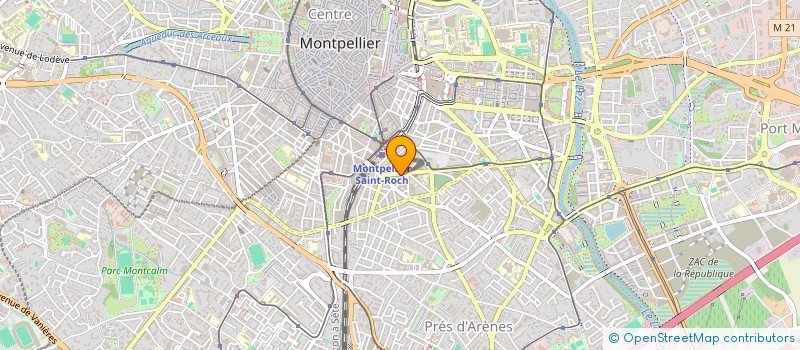 localisation de l'entreprise MONSIEUR THOMAS COGOLUEGNES à MONTPELLIER