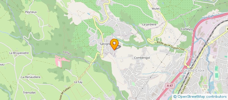 localisation de l'entreprise MONSIEUR THOMAS COURTINE  CELLIEU