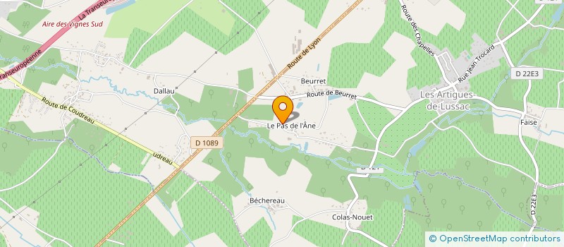 localisation de l'entreprise MONSIEUR THOMAS DAVILA à LES ARTIGUES-DE-LUSSAC