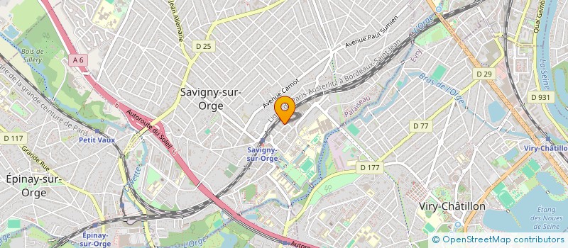 localisation de l'entreprise MONSIEUR THOMAS DE SOUZA PEIXOTO à SAVIGNY-SUR-ORGE