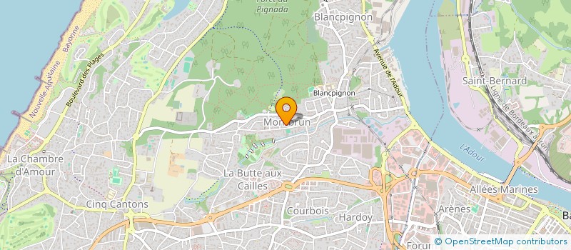 localisation de l'entreprise MONSIEUR THOMAS DECOCK-GIRAUDAUD  ANGLET