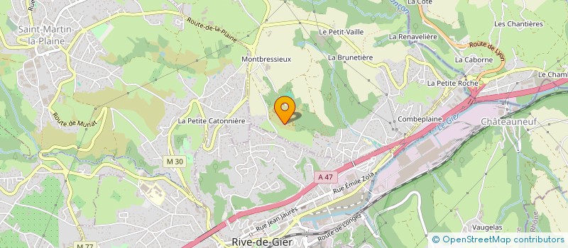 localisation de l'entreprise MONSIEUR THOMAS DEFILHES  RIVE-DE-GIER