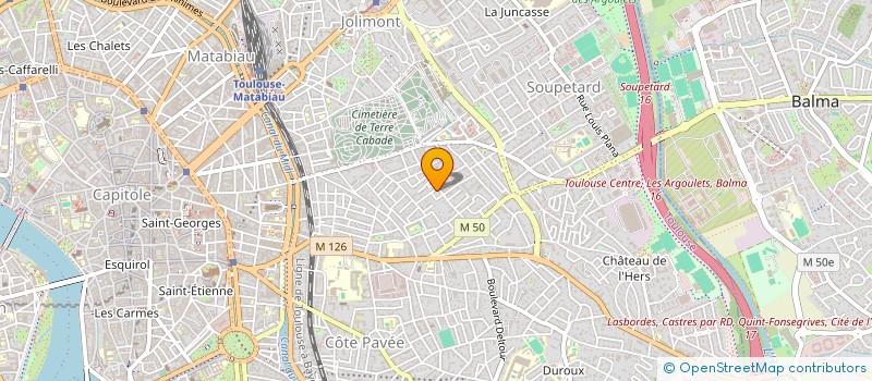 localisation de l'entreprise MONSIEUR THOMAS DELAFOSSE à TOULOUSE