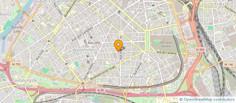 localisation de l'entreprise MONSIEUR THOMAS DELANNOY à LILLE