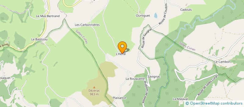 localisation de l'entreprise MONSIEUR THOMAS DENAES  SALLES-CURAN