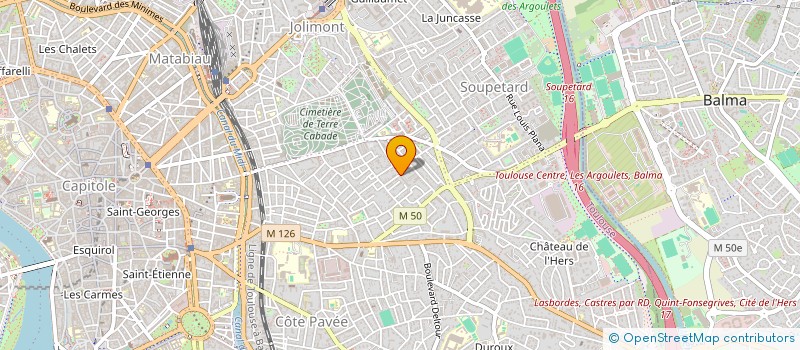 localisation de l'entreprise MONSIEUR THOMAS DENAPE  TOULOUSE