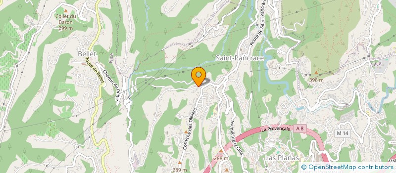 localisation de l'entreprise MONSIEUR THOMAS DENIS  NICE