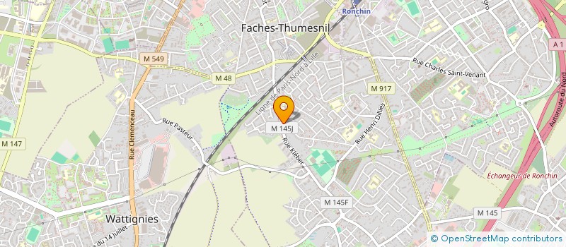 localisation de l'entreprise MONSIEUR THOMAS DESPINOIS à FACHES-THUMESNIL