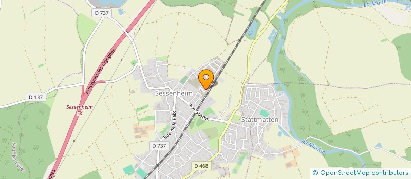 localisation de l'entreprise MONSIEUR THOMAS DI DOMENICO  SESSENHEIM