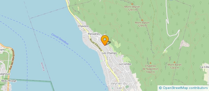 localisation de l'entreprise MONSIEUR THOMAS DOMENACH  VEYRIER-DU-LAC