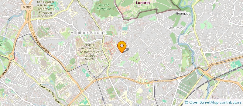 localisation de l'entreprise MONSIEUR THOMAS DOS SANTOS à MONTPELLIER