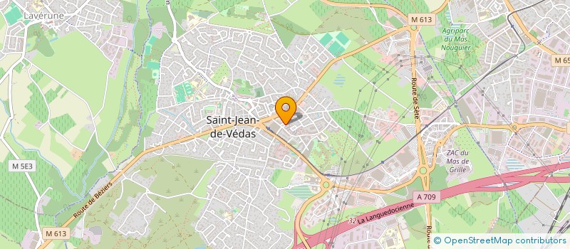 localisation de l'entreprise MONSIEUR THOMAS DOUAY  SAINT-JEAN-DE-VEDAS