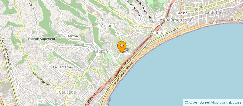 localisation de l'entreprise MONSIEUR THOMAS DREYFUS à NICE