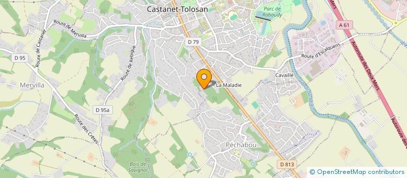 localisation de l'entreprise MONSIEUR THOMAS DRONSART à CASTANET-TOLOSAN