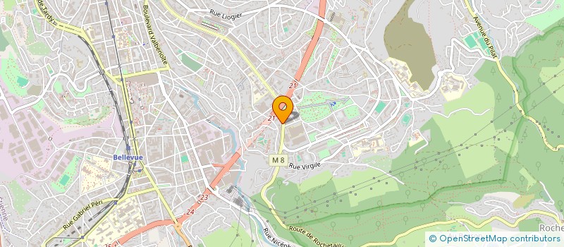 localisation de l'entreprise MONSIEUR THOMAS DUFFRENE  SAINT-ETIENNE