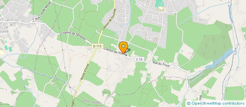 localisation de l'entreprise MONSIEUR THOMAS DUMONT  SAINT-LOUBES