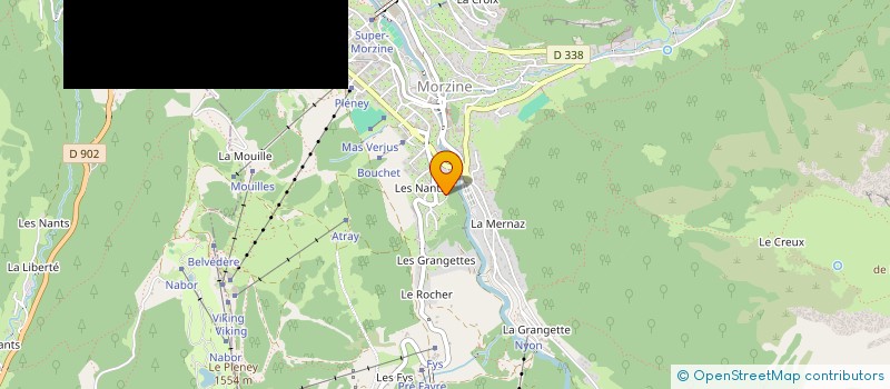 localisation de l'entreprise MONSIEUR THOMAS EARWICKER  MORZINE