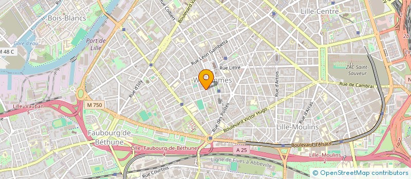 localisation de l'entreprise MONSIEUR THOMAS FERMINE à LILLE