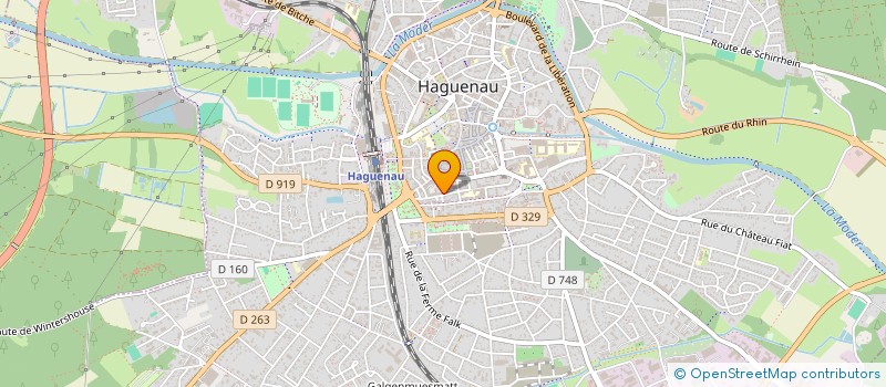 localisation de l'entreprise MONSIEUR THOMAS FERNER  HAGUENAU