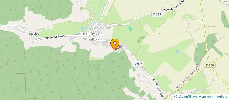 localisation de l'entreprise MONSIEUR THOMAS FEUILLET à MONTIGNY-AUX-AMOGNES
