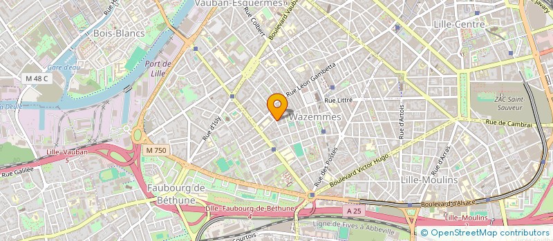 localisation de l'entreprise MONSIEUR THOMAS FLAMEN  LILLE