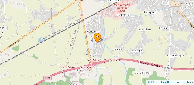 localisation de l'entreprise MONSIEUR THOMAS FLEURY à SAINT-SULPICE-LA-POINTE