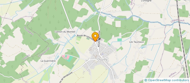 localisation de l'entreprise MONSIEUR THOMAS FRANCOIS  SAINT-MARTIN-LA-PALLU