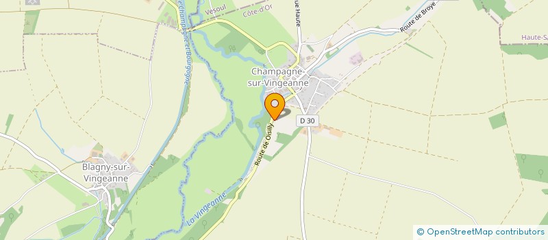 localisation de l'entreprise MONSIEUR THOMAS FROMANTIN  CHAMPAGNE-SUR-VINGEANNE