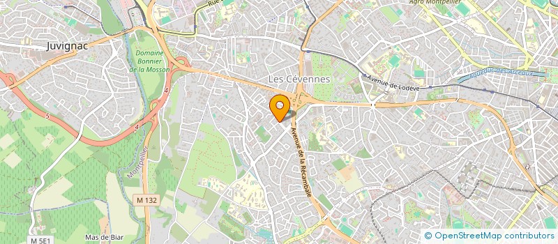 localisation de l'entreprise MONSIEUR THOMAS-GERARD-RENE VARIN à MONTPELLIER