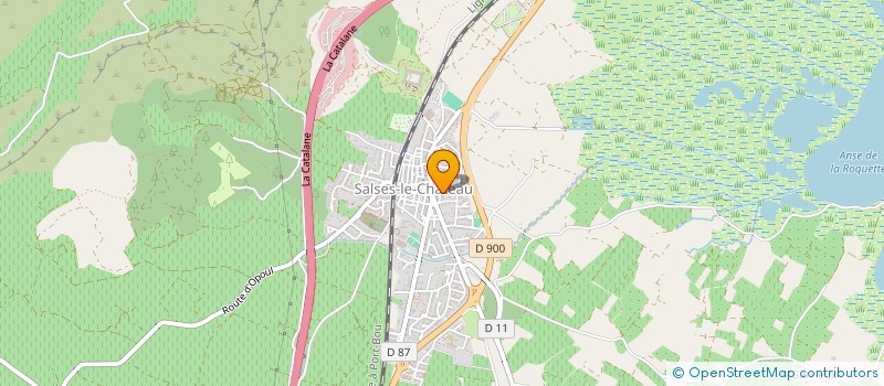 localisation de l'entreprise MONSIEUR THOMAS GIBERT  SALSES-LE-CHATEAU