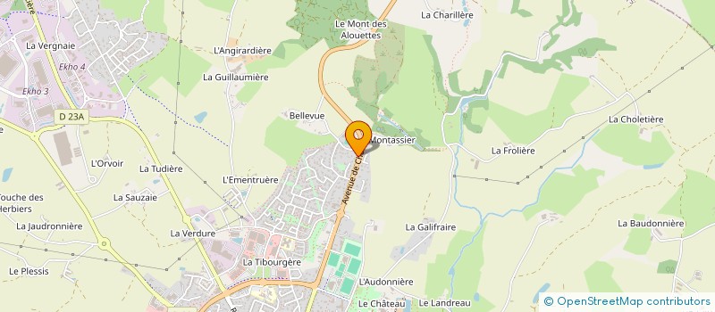 localisation de l'entreprise MONSIEUR THOMAS GOGNAU à LES HERBIERS