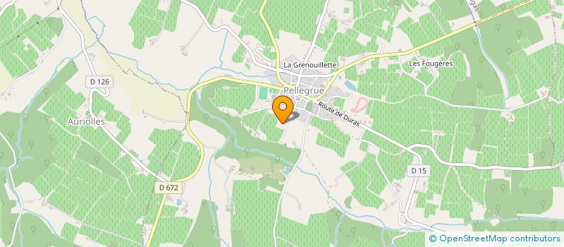 localisation de l'entreprise MONSIEUR THOMAS GOMES  PELLEGRUE