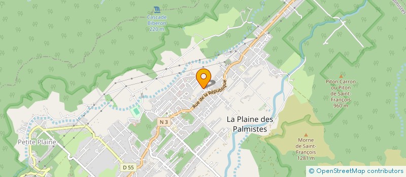 localisation de l'entreprise MONSIEUR THOMAS GRONDIN  LA PLAINE-DES-PALMISTES