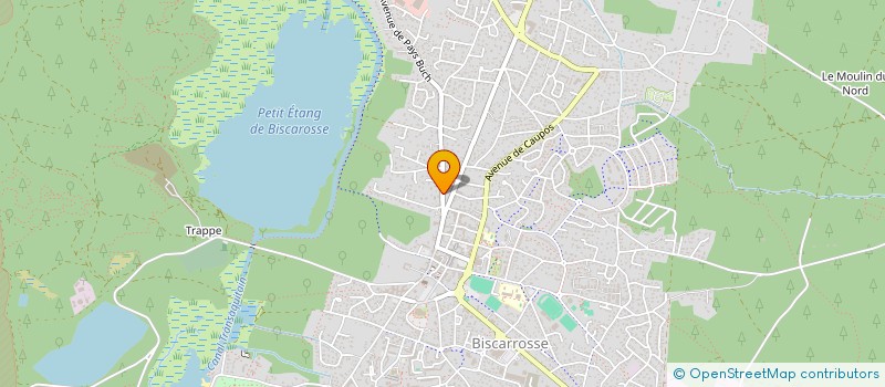 localisation de l'entreprise MONSIEUR THOMAS GUILBAUD  BISCARROSSE