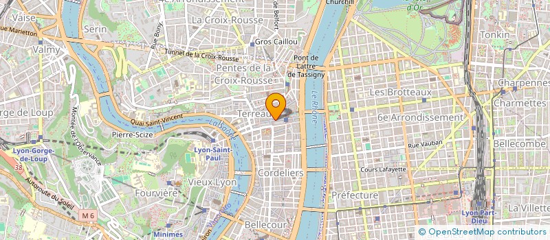 localisation de l'entreprise MONSIEUR THOMAS HOFFMANN  LYON