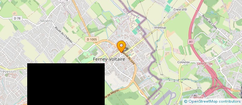 localisation de l'entreprise MONSIEUR THOMAS HOURS à FERNEY-VOLTAIRE