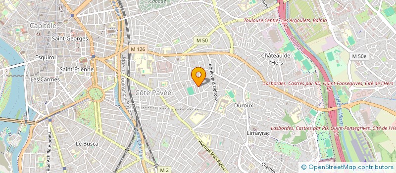 localisation de l'entreprise MONSIEUR THOMAS IRIS à TOULOUSE