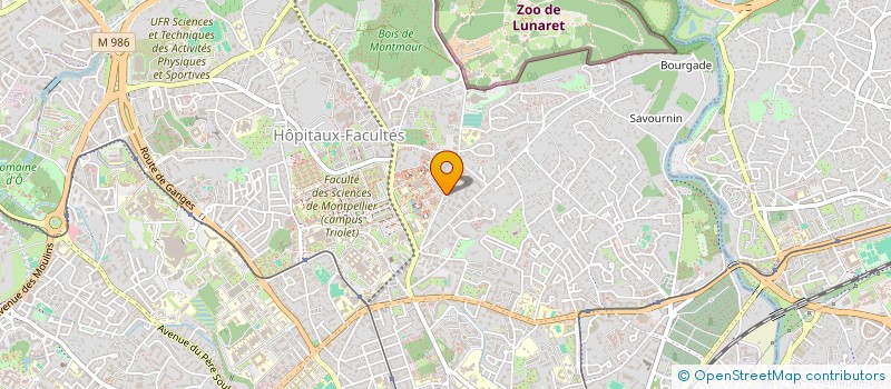 localisation de l'entreprise MONSIEUR THOMAS JEAN-ELIE à MONTPELLIER