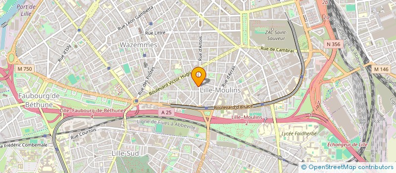 localisation de l'entreprise MONSIEUR THOMAS KOOIJMAN  LILLE