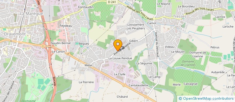 localisation de l'entreprise MONSIEUR THOMAS LABORDE  TRESSES