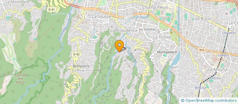 localisation de l'entreprise MONSIEUR THOMAS LAROCHE-JOUBERT à SAINT-DENIS