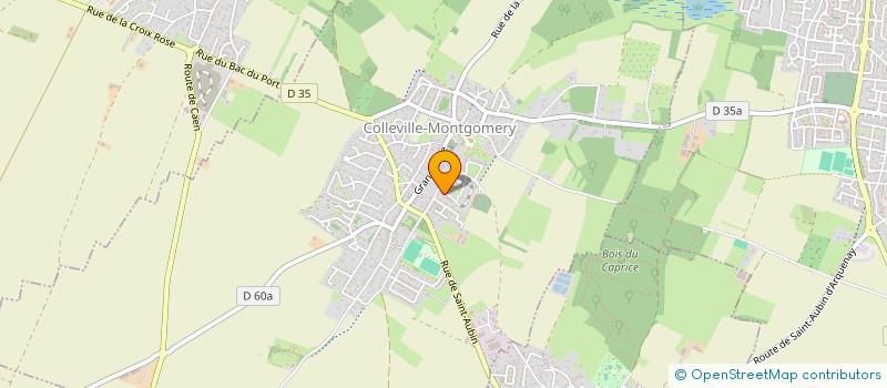 localisation de l'entreprise MONSIEUR THOMAS LE GOUEFFLEC  COLLEVILLE-MONTGOMERY