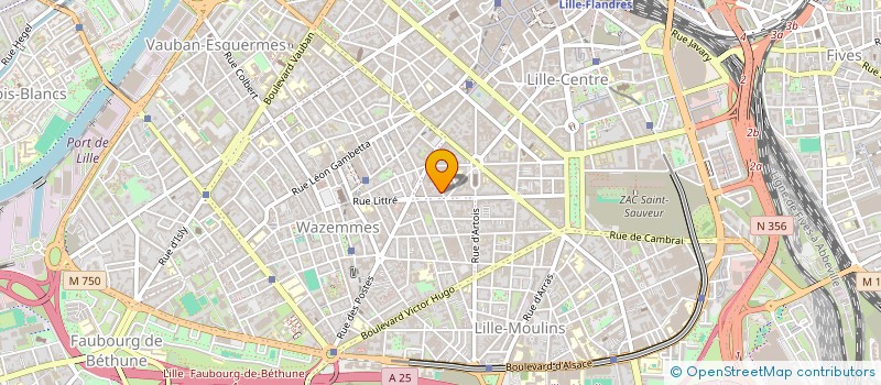 localisation de l'entreprise MONSIEUR THOMAS LEHUT à LILLE