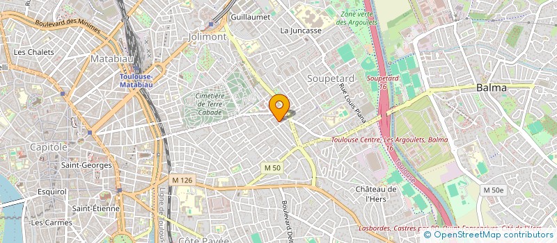 localisation de l'entreprise MONSIEUR THOMAS LENARD à TOULOUSE