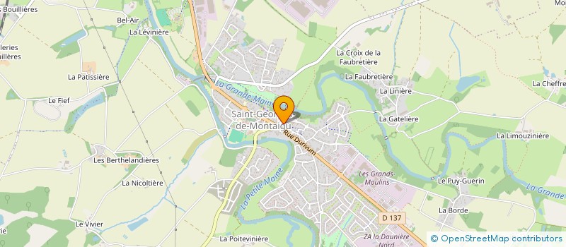 localisation de l'entreprise MONSIEUR THOMAS LEVEQUE à MONTAIGU-VENDEE