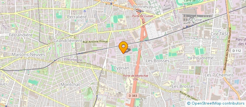 localisation de l'entreprise MONSIEUR THOMAS LINGESSO  VILLEURBANNE