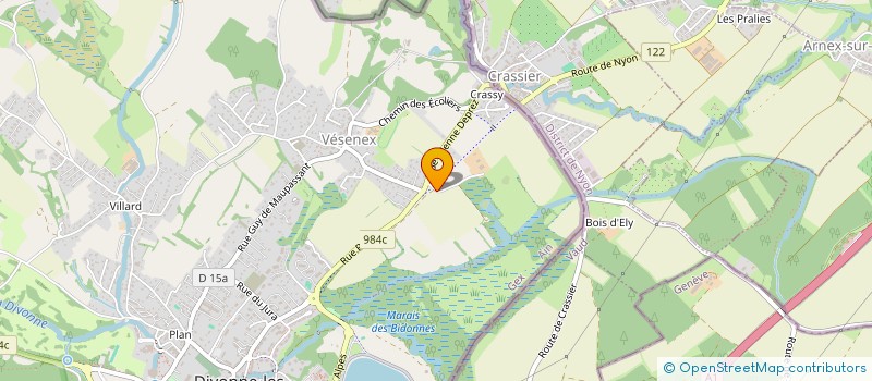 localisation de l'entreprise MONSIEUR THOMAS MARTINS  DIVONNE-LES-BAINS